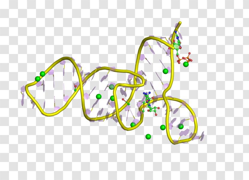 Messenger RNA Riboswitch Polyadenylation Regulatory Sequence - Frame - Tree Transparent PNG