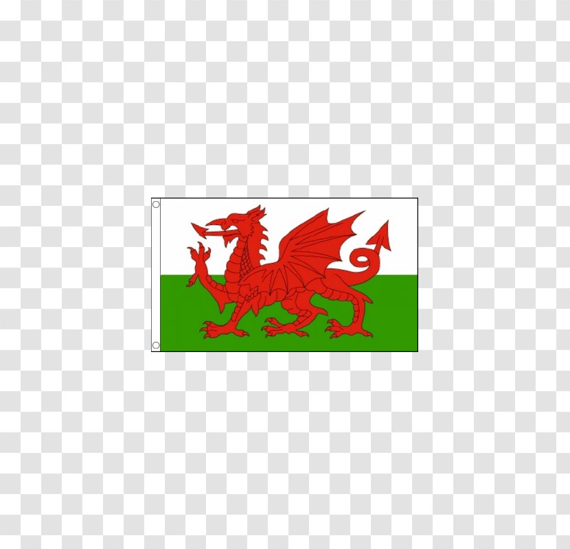 St Davids Cardiff Saint David's Day Welsh - Grass - Dragon Transparent PNG