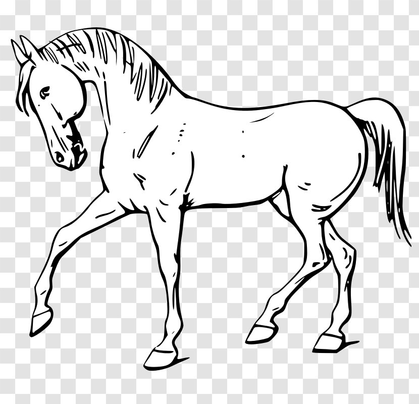 Tennessee Walking Horse Drawing Clip Art - Stallion - Animal Outline Transparent PNG