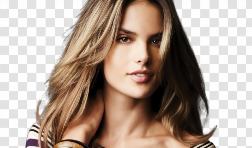 Hair Face Hairstyle Eyebrow Skin - Brown Chin Transparent PNG