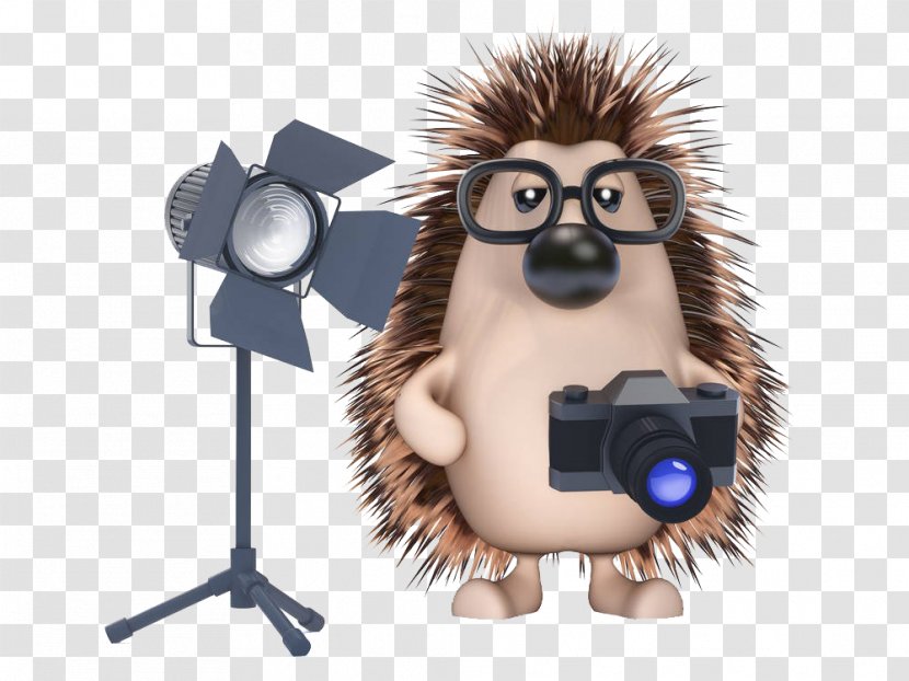 Hedgehog Stock Photography Illustration - Royaltyfree - Holding The Camera's Transparent PNG