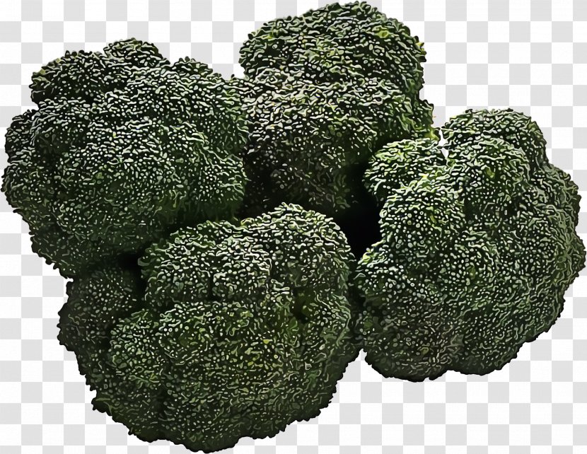 Organic Food Vegetable Italica Group Vegetarian Cuisine - Superfood - Kale Transparent PNG