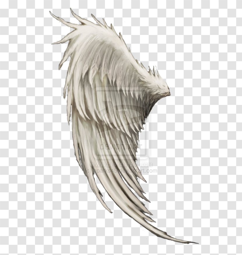 Wing Angel Clip Art - Beak - Wings Transparent PNG