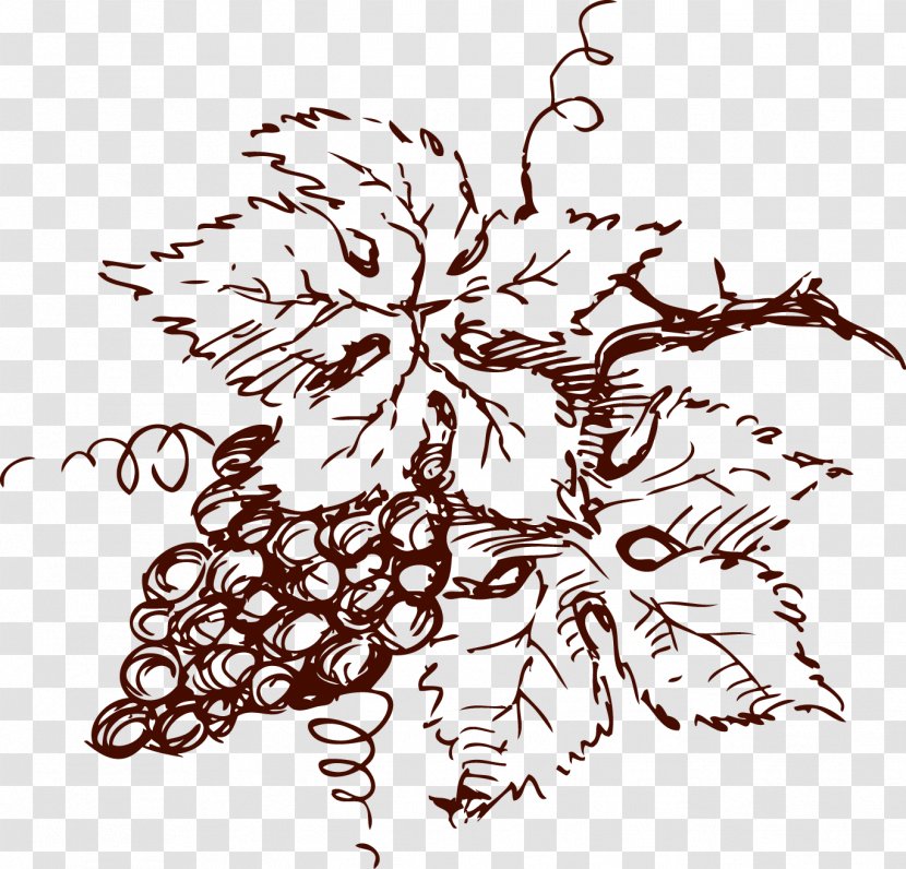 Wine Drawing Chardonnay Grenache Grape - Artwork - Rose Red Logo Transparent PNG