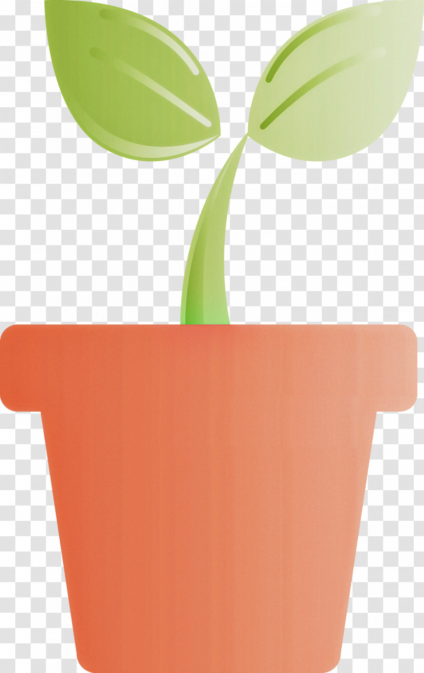 Sprout Bud Seed Transparent PNG