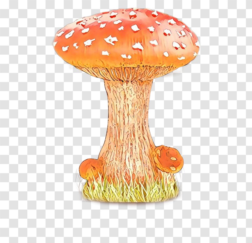 Mushroom Orange S.A. Table - Agaric Transparent PNG