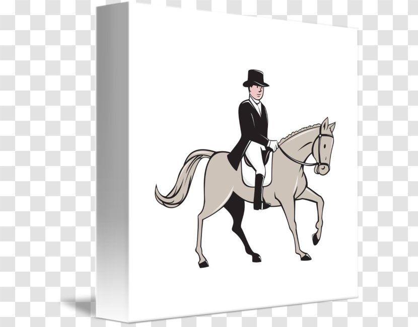 Horse Drawing Equestrian - Rein Transparent PNG