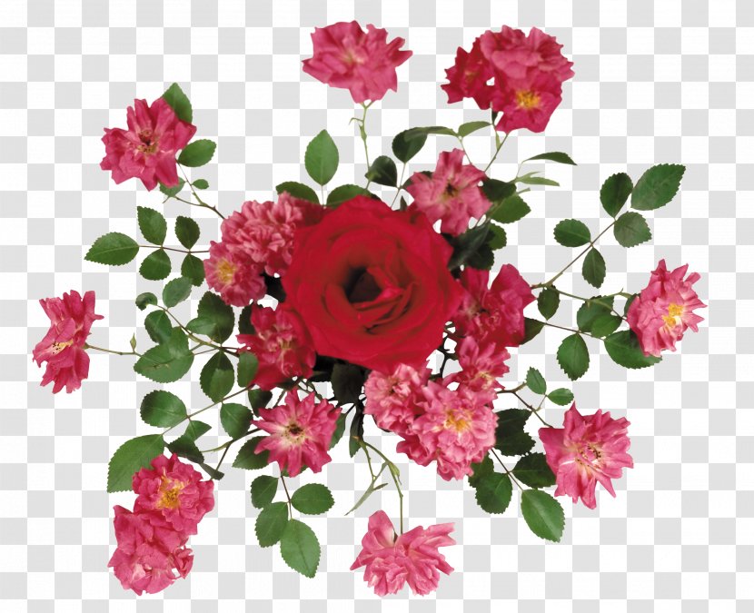 Cut Flowers Centerblog - Flower Bouquet Transparent PNG