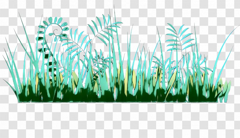 Green Grass Background - Wheatgrass - Phragmites Terrestrial Plant Transparent PNG