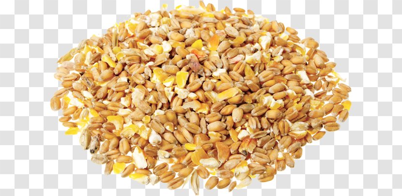 Cereal Grain Organic Food Pasta - Oats Transparent PNG