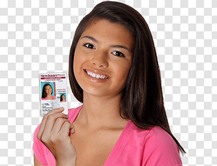 Florida Car Learner's Permit Driver's Education Driving Test - Tree - Hawaii Island Transparent PNG