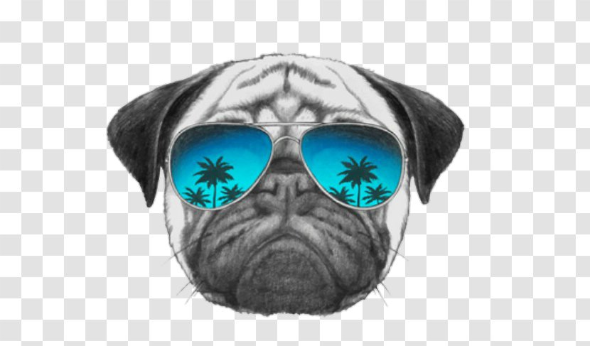 Pug T-shirt Sunglasses Dog Collar - Drawing Transparent PNG