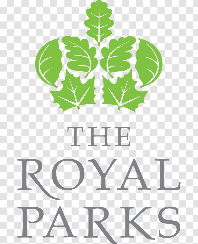 Greenwich Park The Serpentine Royal Parks Foundation Half Marathon - Flowering Plant - Sparks Transparent PNG