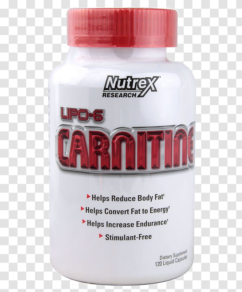 Dietary Supplement Levocarnitine Capsule Softgel Garcinia Gummi-gutta - Bodybuilding - Adipose Tissue Transparent PNG