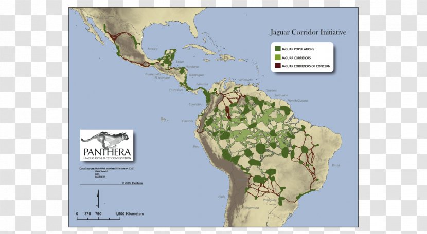 Jaguar Map Central America Landscape Mexico - Wildlife Corridor Transparent PNG