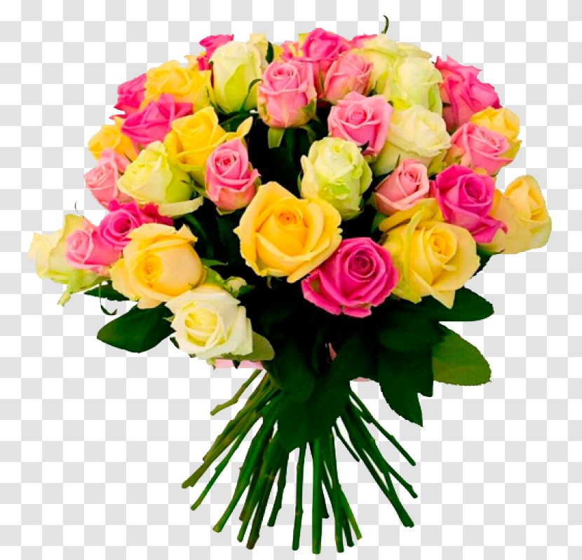 Garden Roses - Flowering Plant - Yellow Rose Family Transparent PNG