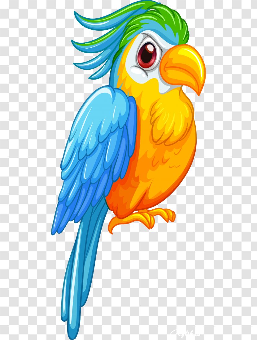 Parrot Bird Macaw Clip Art - Fictional Character Transparent PNG