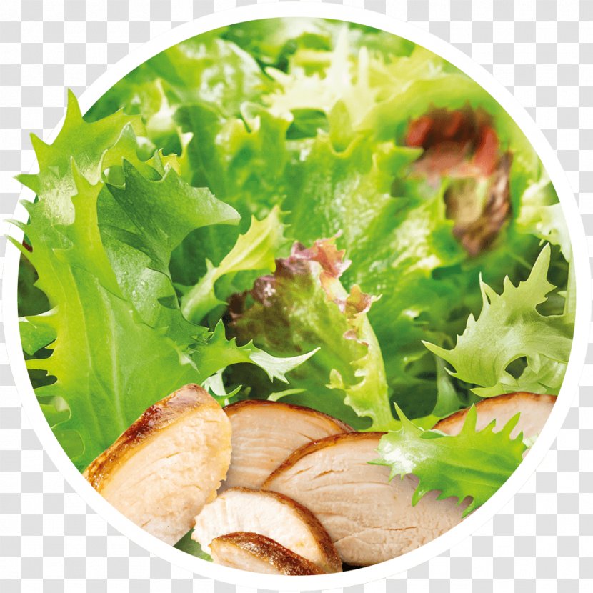 Caesar Salad Lettuce Vinaigrette Crudités Vegetarian Cuisine - Recipe Transparent PNG