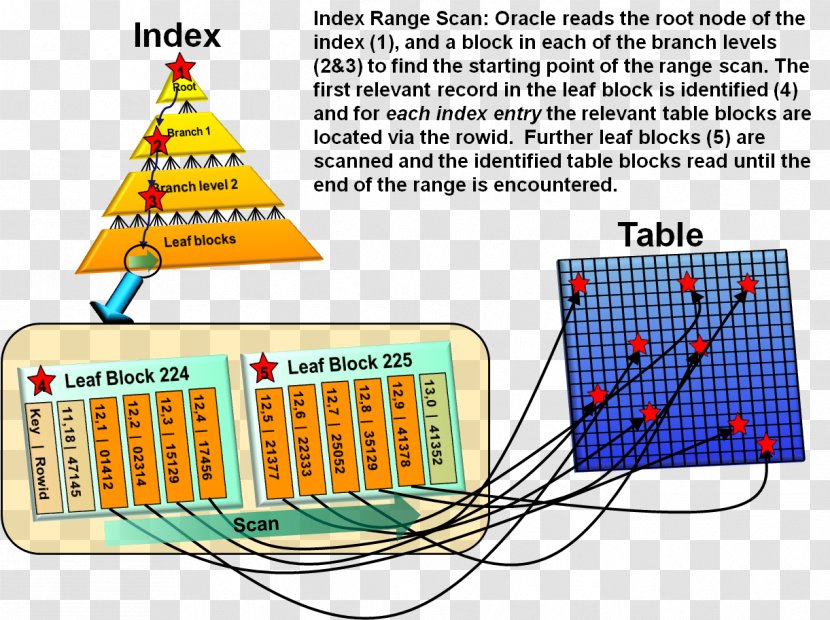 Database Index Oracle Full Table Scan - Computer Cluster Transparent PNG