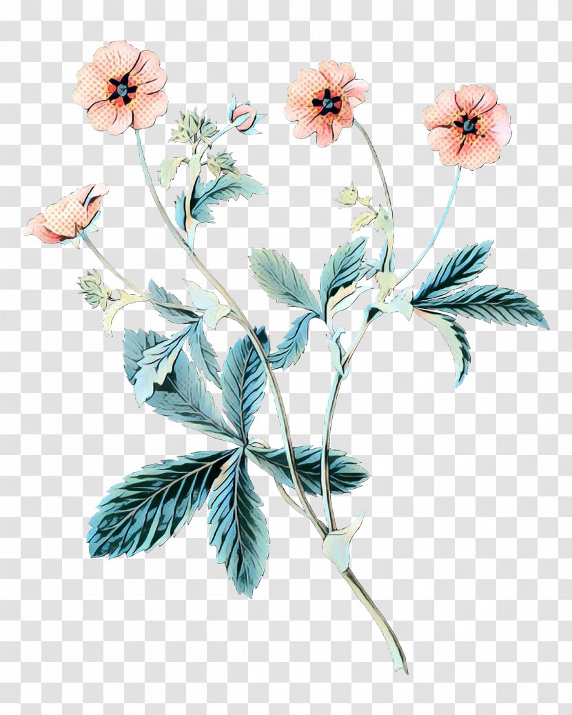 Wedding Invitation Flower Clip Art Petal - Wildflower Transparent PNG