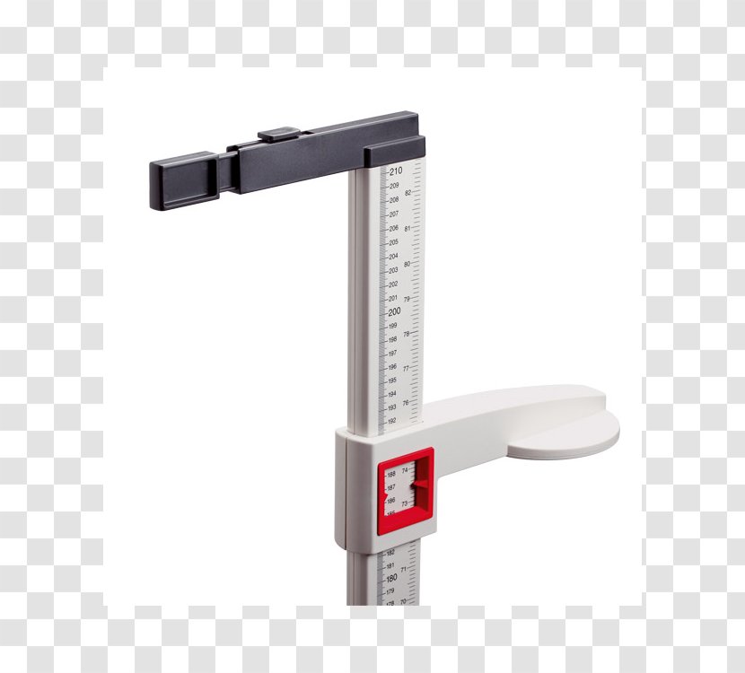 Stadiometer Seca GmbH Measurement Measuring Scales Medicine - Hospital - Human Height Transparent PNG