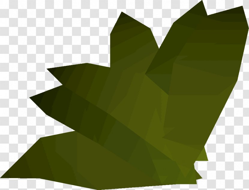 Old School RuneScape Wikia Herb - Tree - Herbs Clipart Transparent PNG