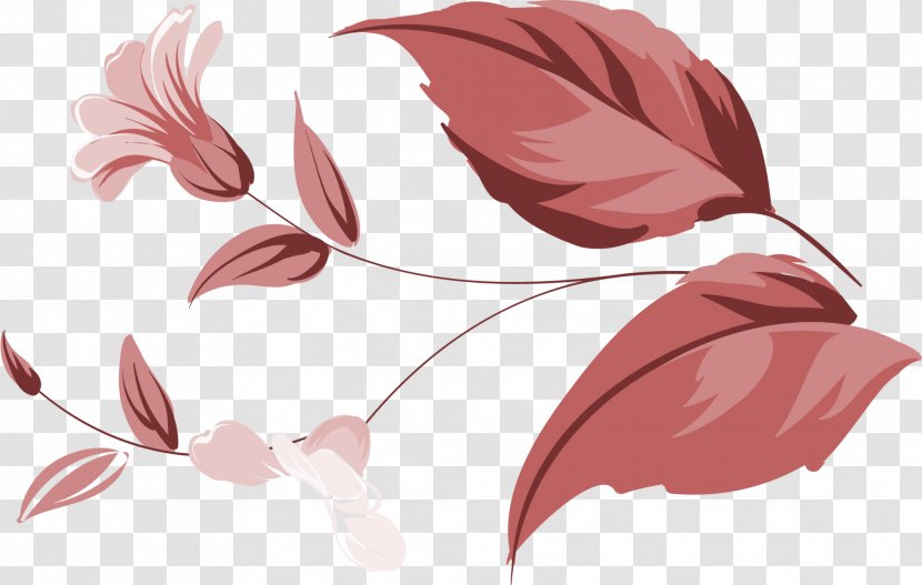 Flower Petal - Plant - Simple Coffee Transparent PNG