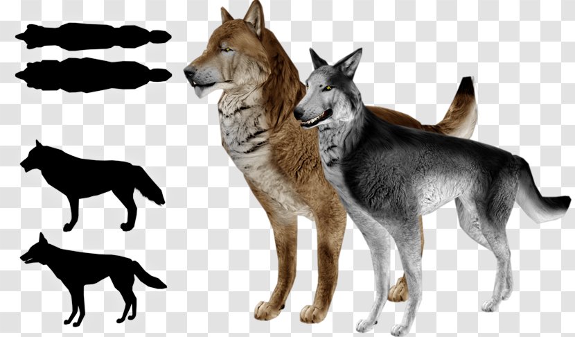 Saarloos Wolfdog Czechoslovakian Siberian Husky Kunming Tamaskan Dog - Thin Body Transparent PNG
