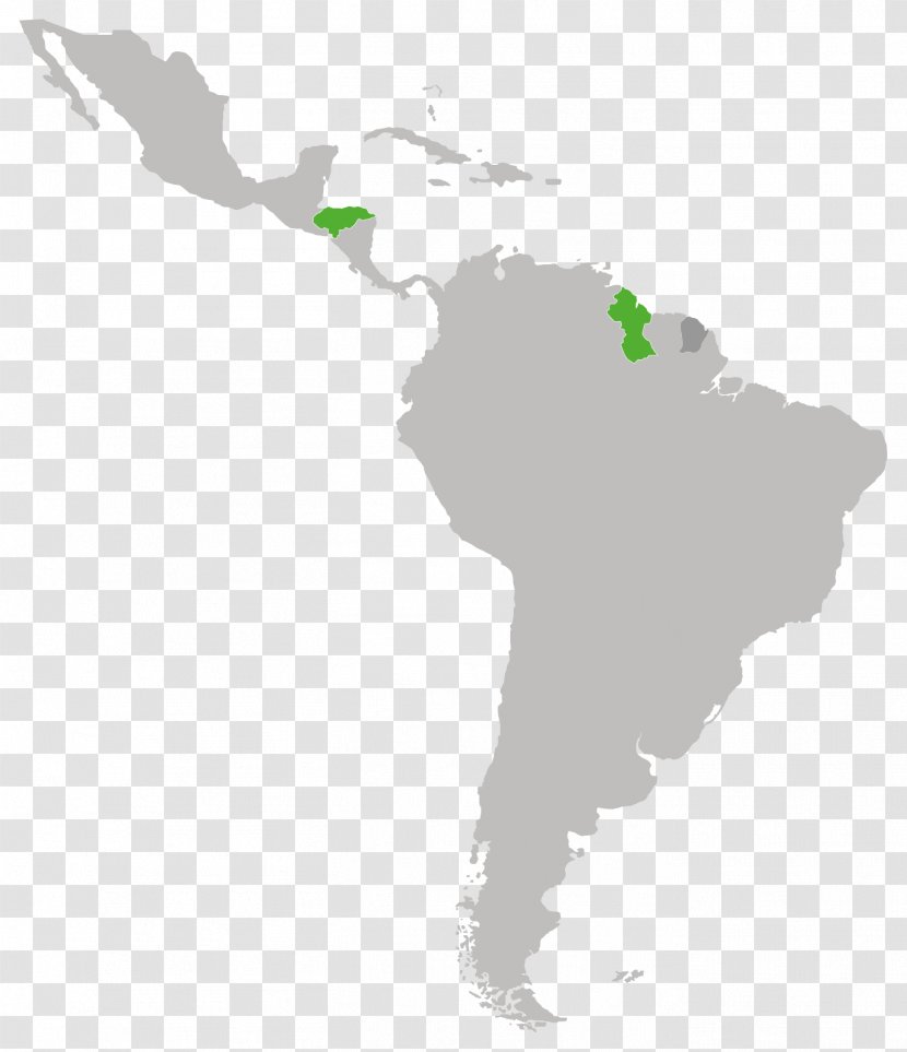 Center For Latin American & Caribbean Studies (CLACS) University Company Business - Tree Transparent PNG