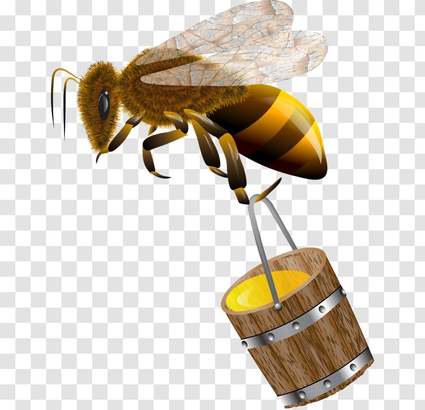 Honey Bee Royalty-free Clip Art - Pollinator - The Bees Carry Transparent PNG