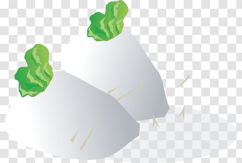Daikon Food Clip Art - Green - Radish Transparent PNG
