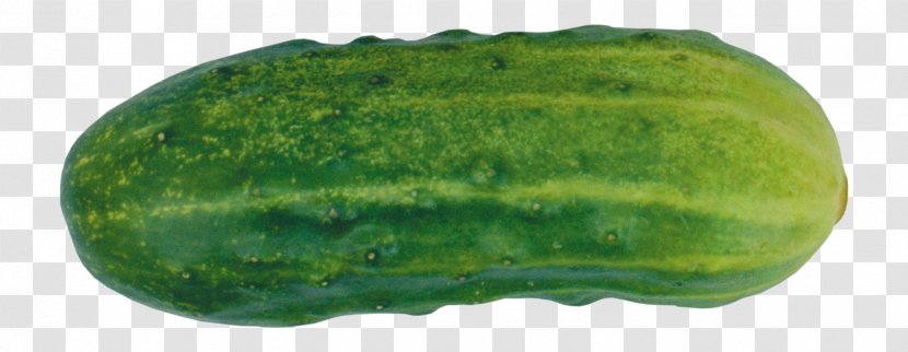 Slicing Cucumber Sandwich Melon Vegetable Transparent PNG