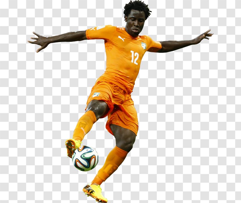 2014 FIFA World Cup Ivory Coast National Football Team Player Japan - Special Members Transparent PNG