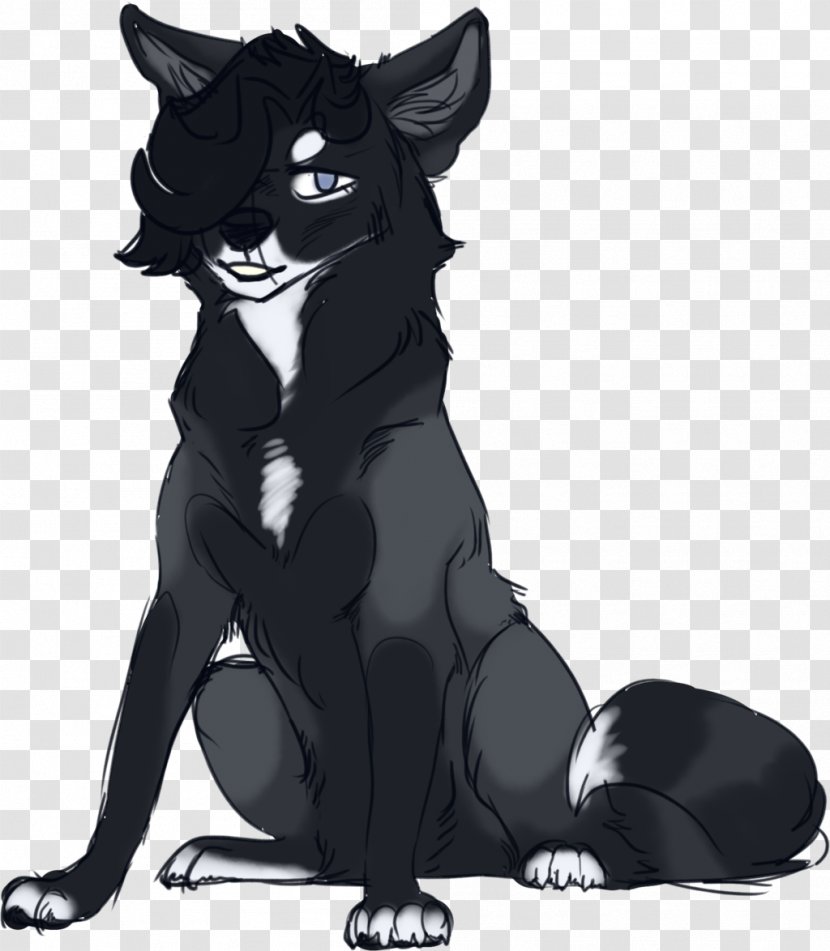Whiskers Cat Dog Werewolf Canidae - Tail Transparent PNG