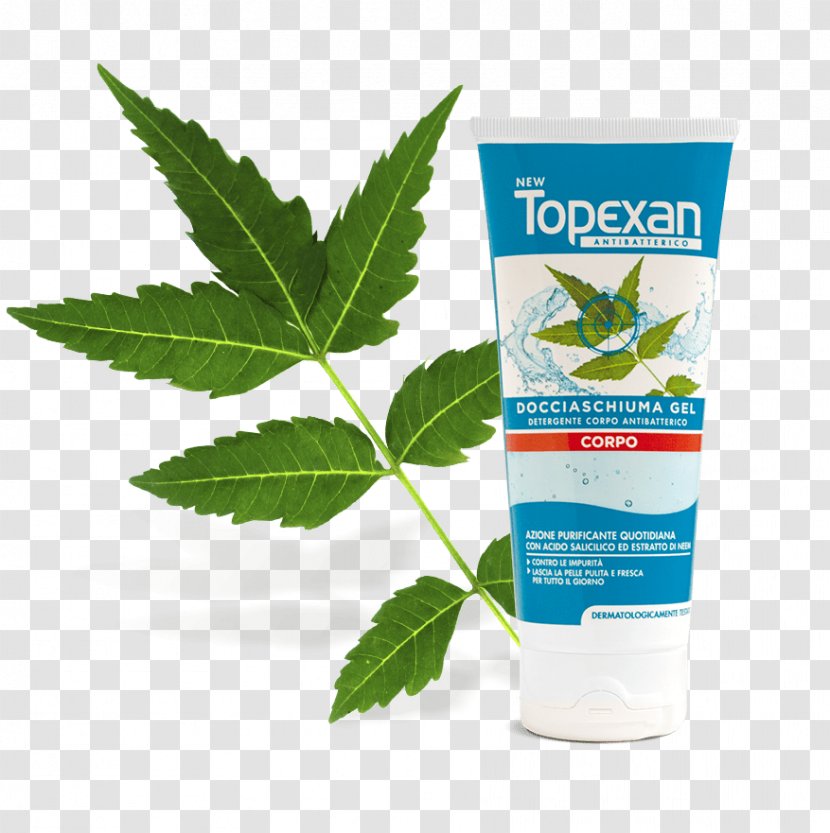 Neem Tree Morril Fox Organic Leaf Powder 1 Lb. 100 Pure And Natural Raw Herb Super F Skin - Panaji - Aloe Barbadensis Extract Transparent PNG