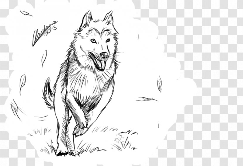 Red Fox Gray Wolf Line Art Whiskers Sketch - Husky Drawing Transparent PNG