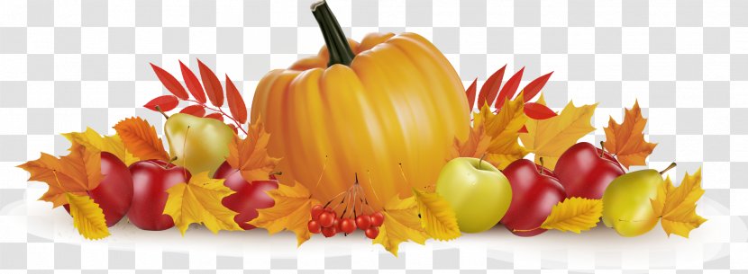 Thanksgiving Autumn Illustration - Vector Material Transparent PNG