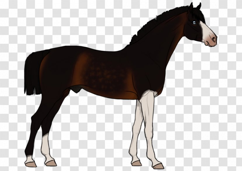 Stallion Mustang Foal Mare Colt - Mad Love Transparent PNG