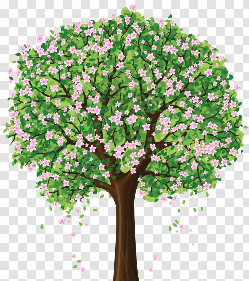 Tree Spring Blossom Clip Art - Color Transparent PNG