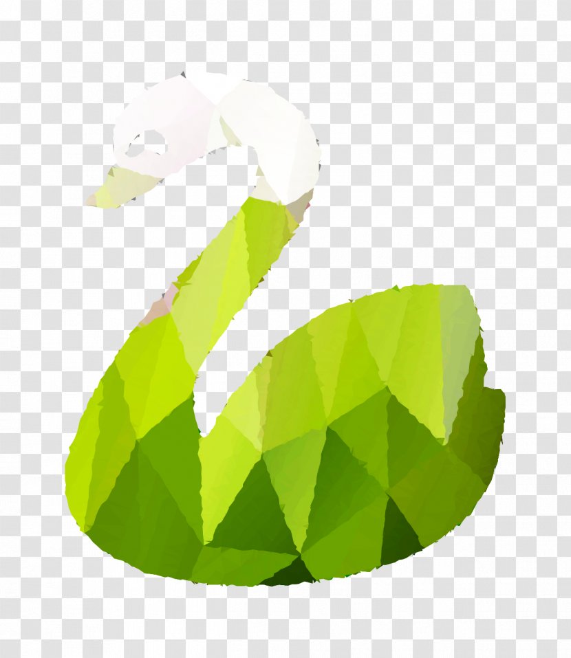 Leaf Product Design Graphics - Logo - Plant Transparent PNG