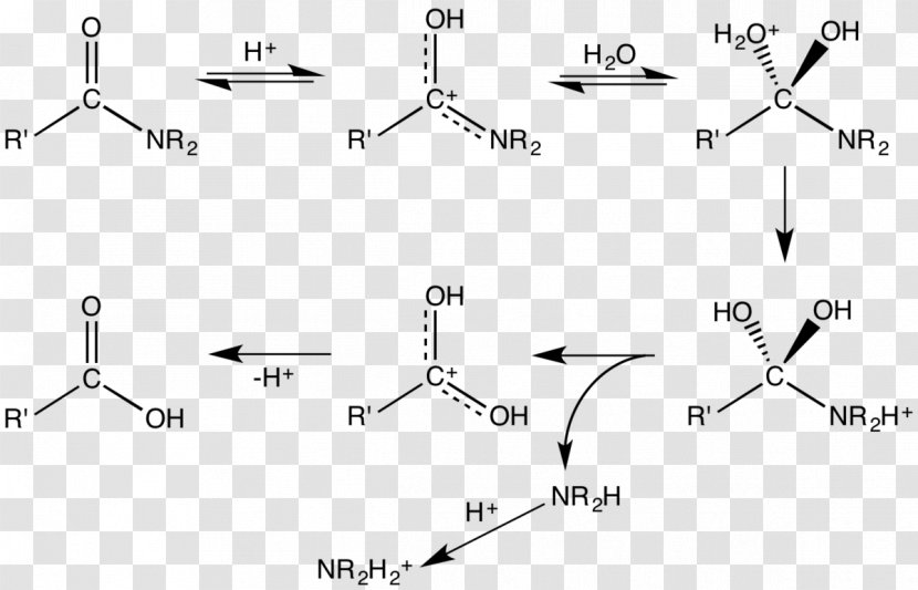 Schmidt Reaction Carboxylic Acid Amide Hydrolysis Protonation - Water Transparent PNG