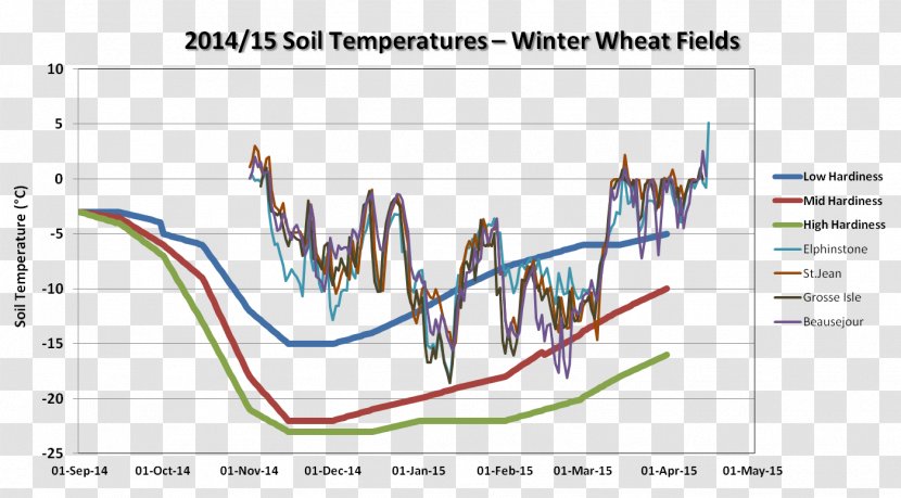 Winter Wheat Vernalization Soil Temperature - Diagram - Fealds Transparent PNG