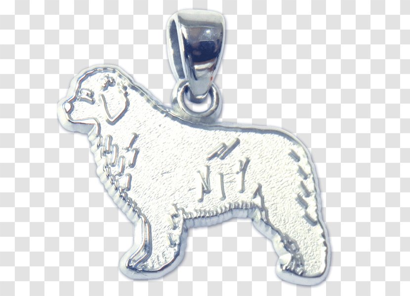 Dog Locket Silver Body Jewellery - Jewelry - Newfoundland Transparent PNG