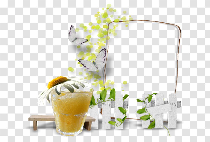 Picture Frames Information Shatt Al-Arab Page - Nvidia Quadro - Summer Decoration Transparent PNG