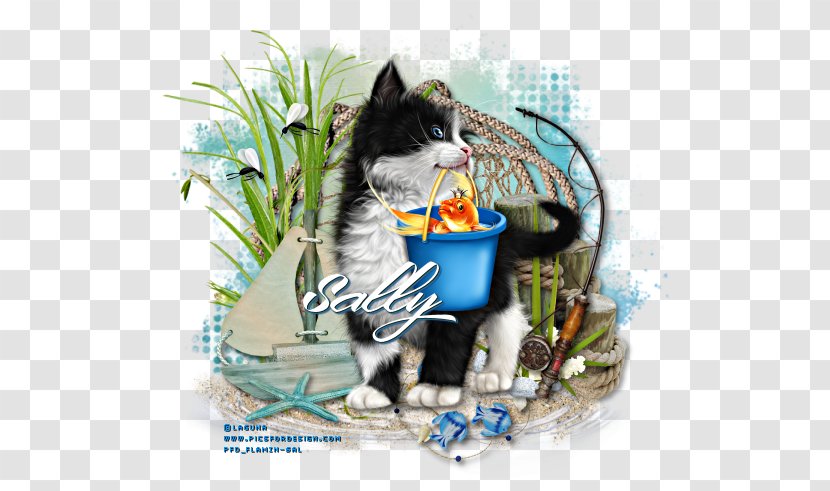 Kitten Whiskers - Small To Medium Sized Cats - Gone Fishing Transparent PNG