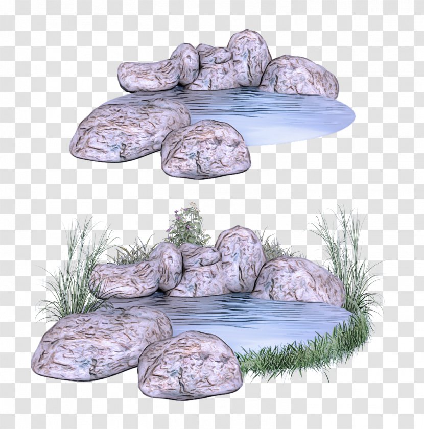 Rock Pond Plant Transparent PNG