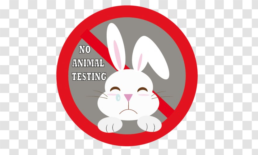 Rabbit Animal Testing Experimentación - Drawing Transparent PNG