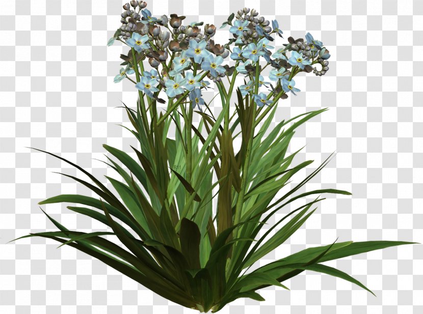 Flower Plant Clip Art - Flowerpot - Spring Flowers Transparent PNG