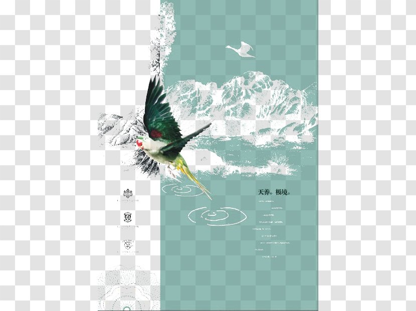 China Creativity Wind Illustration - Artistic Inspiration - Flying Transparent PNG