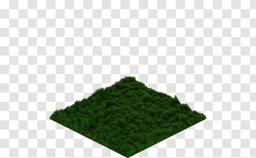 Green - Grass - Grassland Transparent PNG